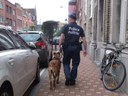 Afwezigheidstoezicht politie tijdens vakantieperiode Afwezigheidstoezicht politie tijdens vakantieperiode