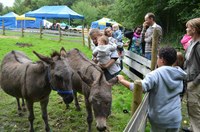 Des enfants caressent les ânes de la Ferme pour enfants