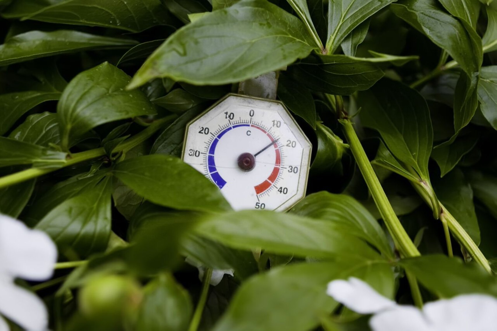 Jette lanceert zijn klimaatplan